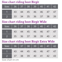 QHP Birgit ridest�vle