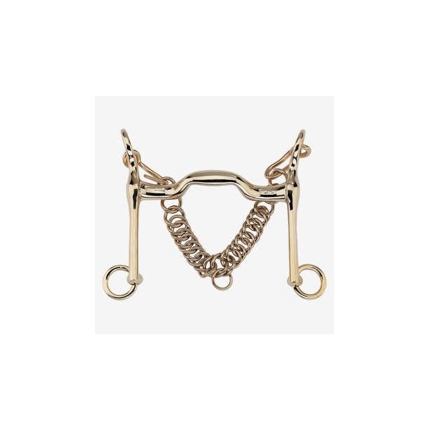 HS KK Dressur Kandar Aurigan