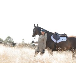 Stierna vinter rideparka vandt�t