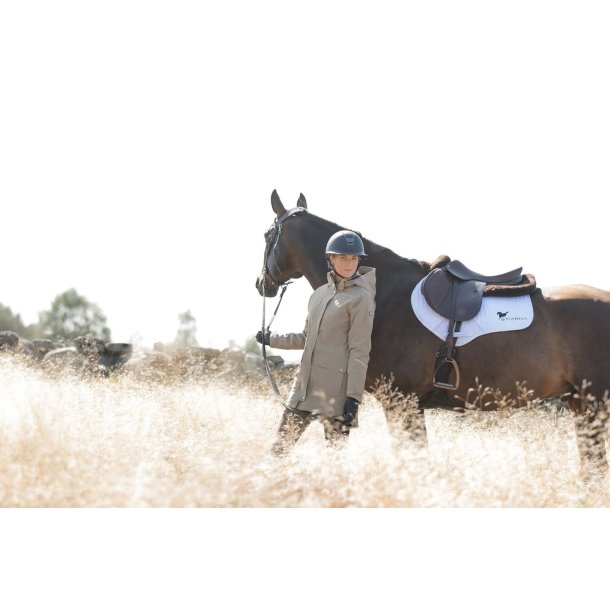 Stierna vinter rideparka vandt�t