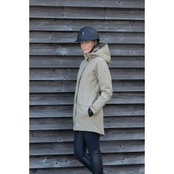 Stierna vinter rideparka vandt�t