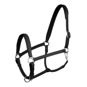 Horka l�dergrime Stockholm