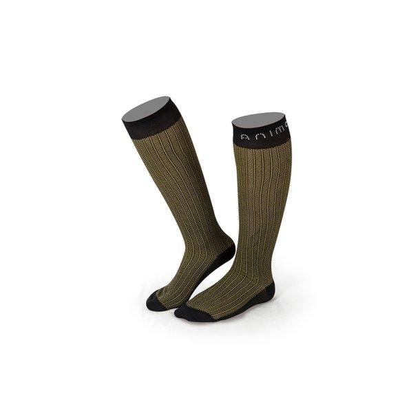 Animo Tesy ridestr�mper AW19