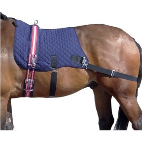 Thermatex Pro Core trainer