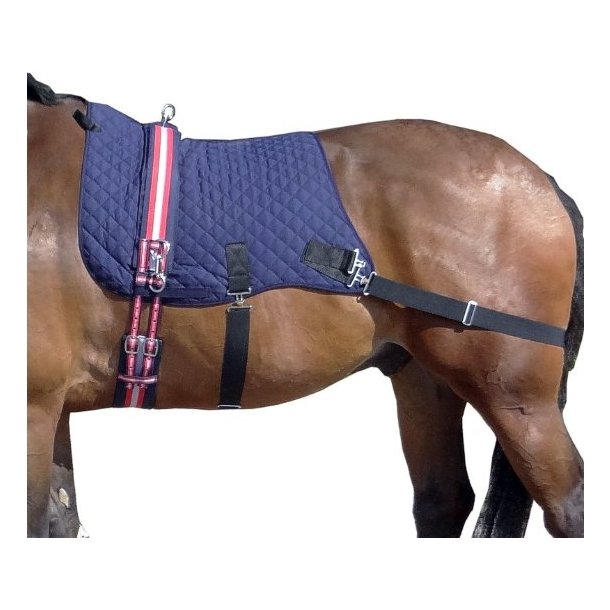 Thermatex Pro Core trainer