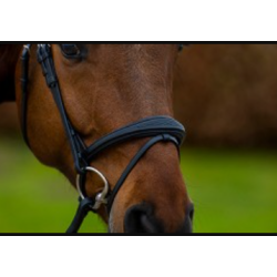 Trust Amsterdam anatomisk trense kombineret n�seb�nd