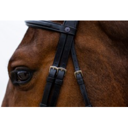 Trust Amsterdam anatomisk trense kombineret n�seb�nd