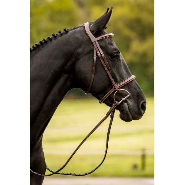 Trust Kentucky hunter trense