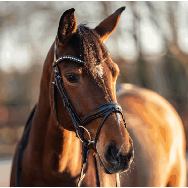 HS Turnado todelt trensebid rustfri st�l 14mm