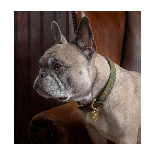 Shires Digby & Fox Tweed halsb�nd