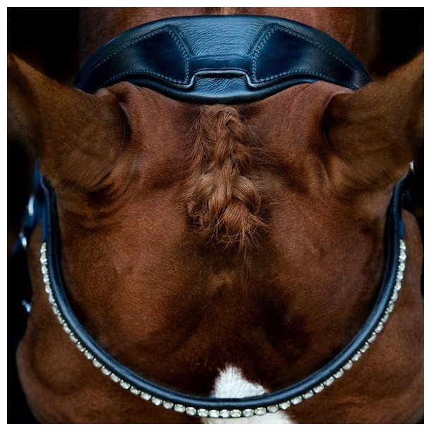 Schockem�hle Venice Kandar