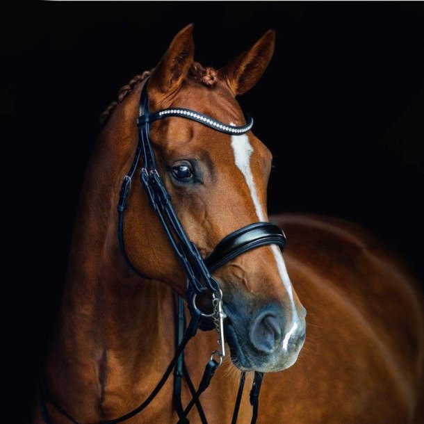 Schockem�hle Venice Kandar