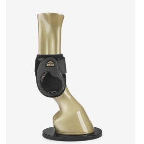 Veredus Grand Slam Young Jump Gold Edition