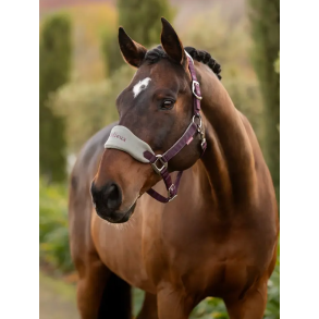 Lemieux Vogue grime m tr�ktorv 