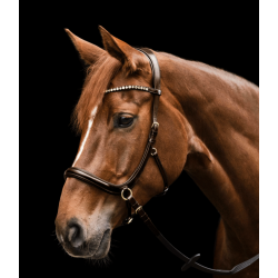 Waldhausen Sensation bidl�s trense X-line