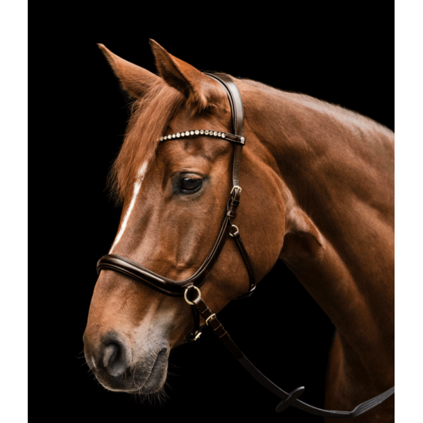 Waldhausen Sensation bidl�s trense X-line