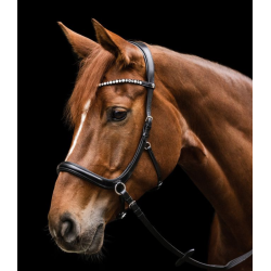 Waldhausen Sensation bidl�s trense X-line