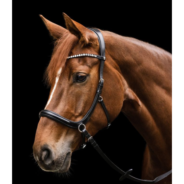 Waldhausen Sensation bidl�s trense X-line