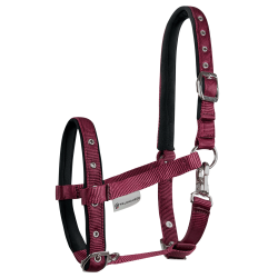 Waldhausen F�lgrime