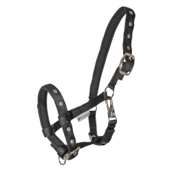 Waldhausen F�lgrime