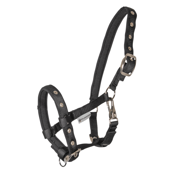 Waldhausen F�lgrime