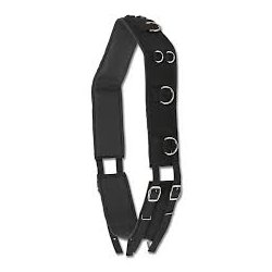 Waldhausen Longegjord