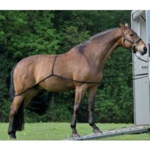 Waldhausen Trailer L�ssereb