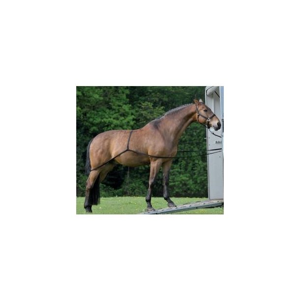 Waldhausen Trailer L�ssereb