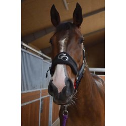 Cavaleros Wave grime