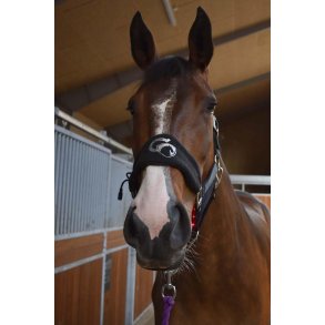 Cavaleros Wave grime