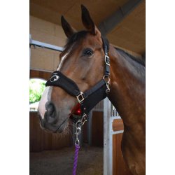 Cavaleros Wave grime