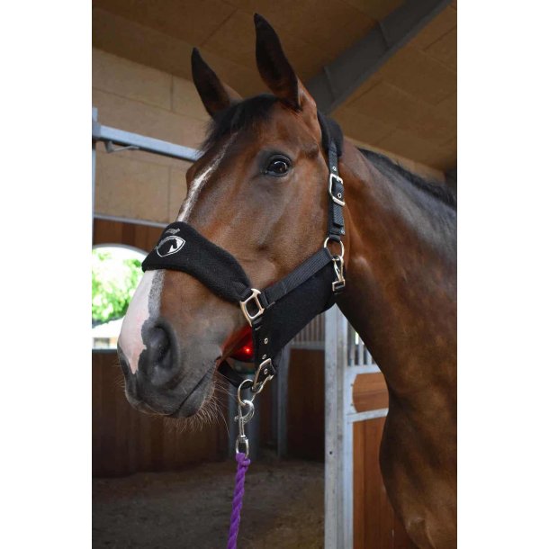 Cavaleros Wave grime