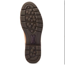 Ariat Wexford H20 Dame