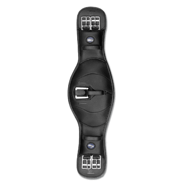 Waldhausen Wintec elastisk dressurgjord med Cair