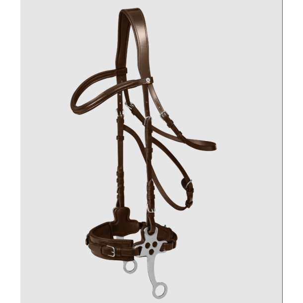 Waldhausen X-Line hackamore trense