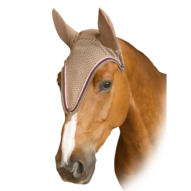 Anna Scarpati Zaira lang hut m loop